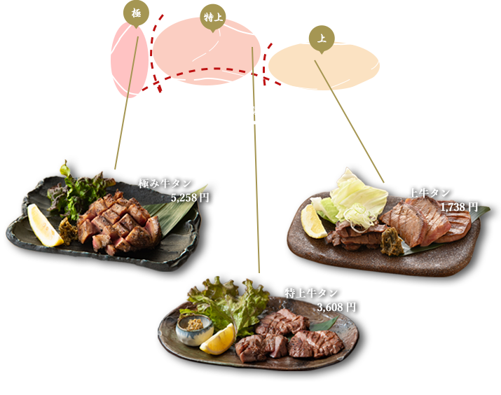 部位について画像